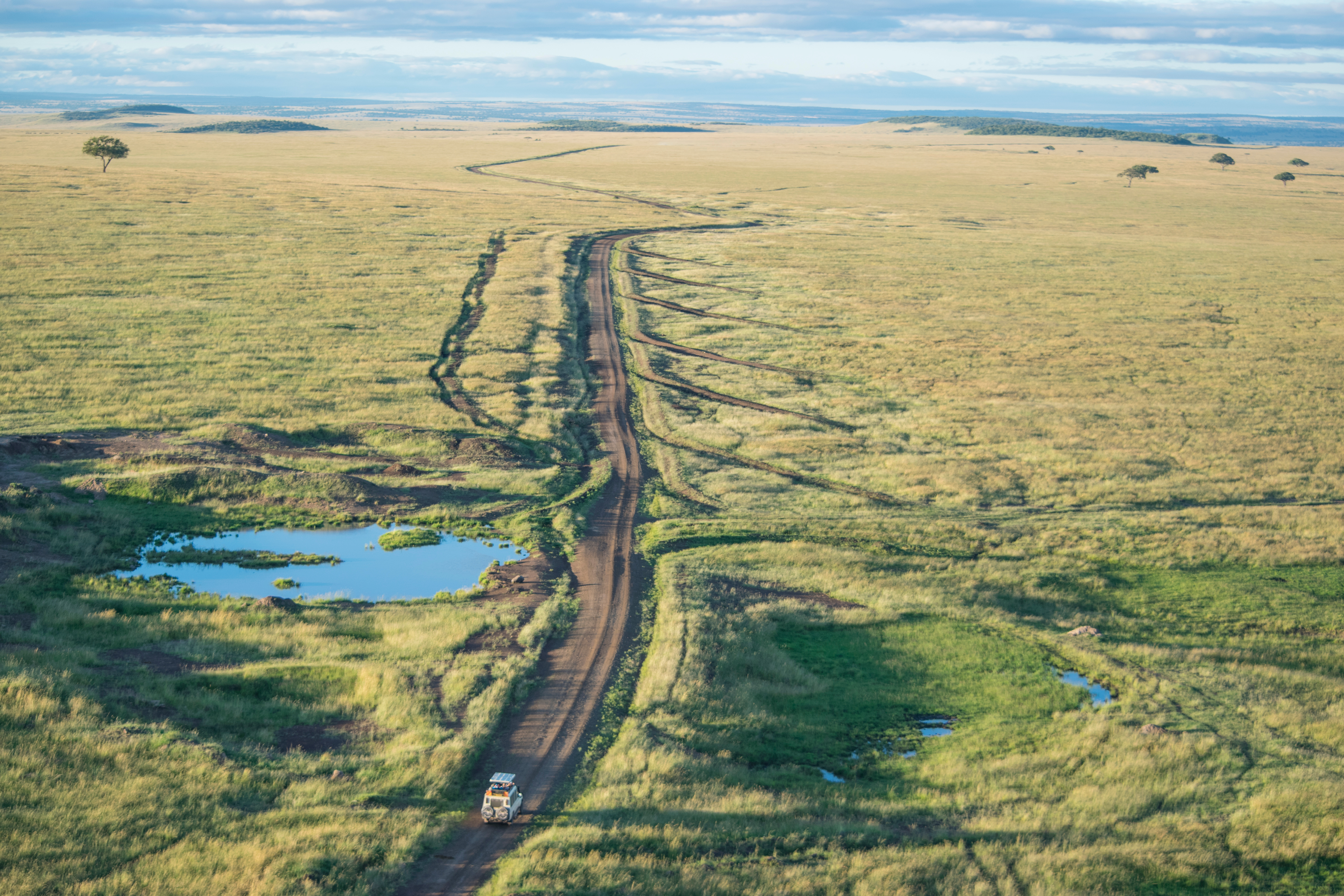 aerial view of a safari vehicle driving down a dirt road